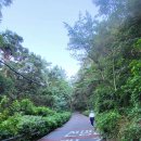 일박이일 이미지