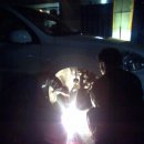 유정카센타 이미지