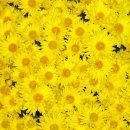 명일농장 이미지