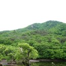 주산공원 이미지