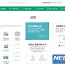 파인1