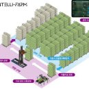 정해농장 이미지