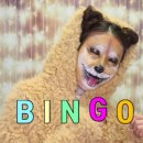 황금뷰티 이미지