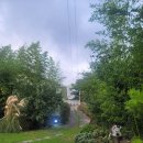 하우스 아움 이미지