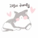 미숙이PC 이미지