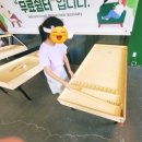 여우쉼터 | 뜨거운 여름, 뜨겁도록 귀여웠던 하루｜아이와 홍천 알파카월드 방문 후기