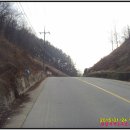 용바우 이미지