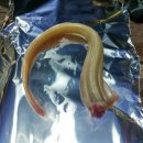 학암연가 이미지