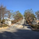 장군축산 네이버블로그