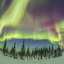 오로라(Aurora)