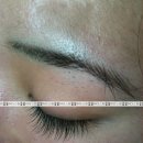 미를붙이다 이미지