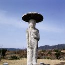 금양사 Daum카페