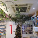 놀러와 멀티방 이미지