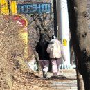 찬경축산 | 경축🥂 讀 두 번째 MT를 가다!(스크롤 주의)