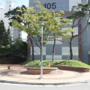 대화APT경로당 이미지