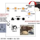 성공축산물공판장