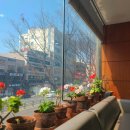 햇살좋은 이미지