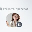 비바 인셀덤