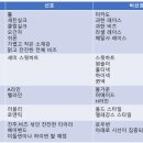 보다샵 | W12. 이승진웨딩 보다이승진 드레스샵 이미지 투어 후기