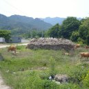 용화보건지소 이미지