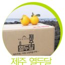 건강 정착민