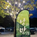 낭만캠프 | 🌿영월 김삿갓면 낭만이란 낭만캠프🌿