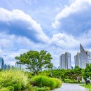 부천중앙공원 이미지