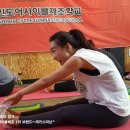 Y-GYM 이미지