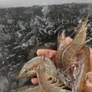 화영수산 네이버블로그