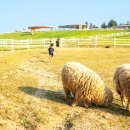 복합목장 이미지