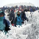 태백산 - 김포시 양곡3로1번길 26-5 | 태백산