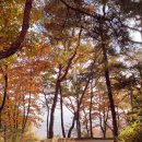 독상성 서문주차장 (세마대) | 오산 독산성