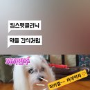 김민재동물병원 이미지