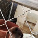 진격농장 이미지