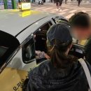 로라시스터