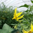 메디칼25시약국 이미지