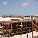 명태덕장 이미지