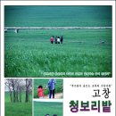 지상길농장 네이버블로그
