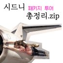 원마운틴 | 원 씀 (웜뱃 안기 투어, 서던하일랜드 투어 후기, 블루마운틴 투어, 포트스테판 투어, 호주 돌고래 투어...