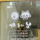 개좋다냥 이미지