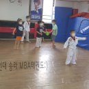 용인대 송라태권도장 이미지