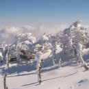 한라산백록담 이미지