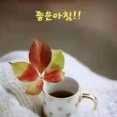 커피방 - 울진군 산포3길 162 | 커피방