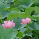 운대2리 이미지