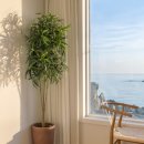 리치펜션 이미지