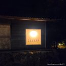 셀러리 | 제주 구좌 가성비 숙소 셀러리 C3 내돈내산 솔직 후기