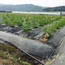 파주환경 이미지