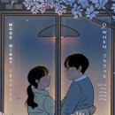 오왠 콘서트 이미지