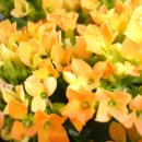 천주의성요한병원 이미지