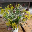 천하촌펜션 이미지